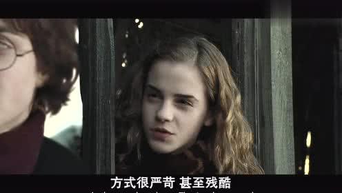 哈利波特4在线观看,火焰杯在线观影指南 第1张 哈利波特4在线观看,火焰杯在线观影指南 第1张